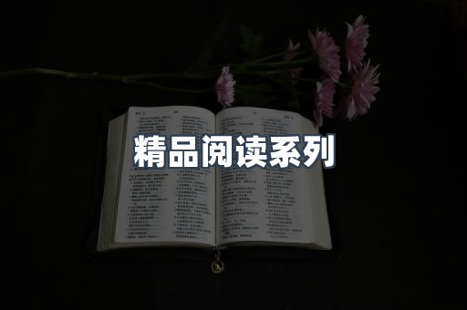 精品阅读系列
